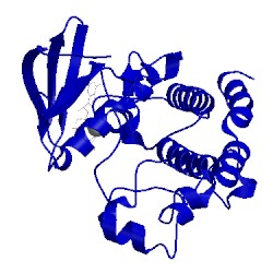 Image of CATH 3rep