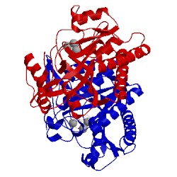 Image of CATH 3reu