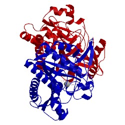 Image of CATH 3rex