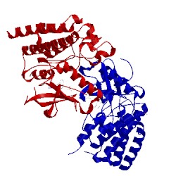 Image of CATH 3ri1