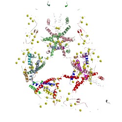 Image of CATH 3rj1