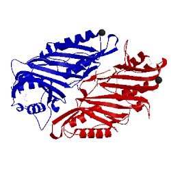 Image of CATH 3rj4