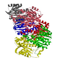 Image of CATH 3rj9