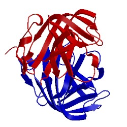Image of CATH 3rkc