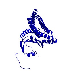 Image of CATH 3rkg