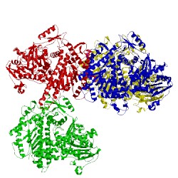 Image of CATH 3rma