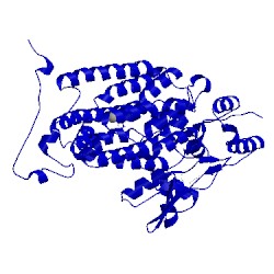 Image of CATH 3rnf