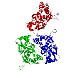 Image of CATH 3rnn