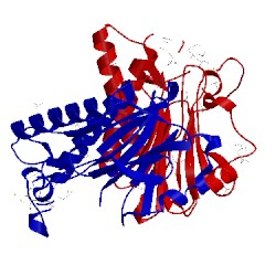Image of CATH 3rnr