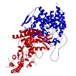 Image of CATH 3ro5