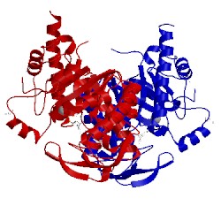 Image of CATH 3rpd