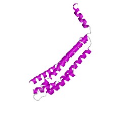 Image of CATH 3rpuB02
