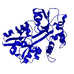 Image of CATH 3rpw