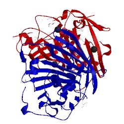 Image of CATH 3rqb
