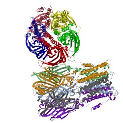 Image of CATH 3rqu