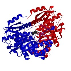 Image of CATH 3rr1