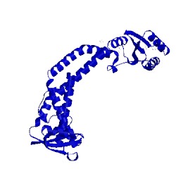 Image of CATH 3rrk