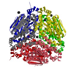 Image of CATH 3rrv