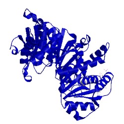 Image of CATH 3rsf