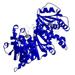 Image of CATH 3rsg