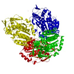 Image of CATH 3ruh