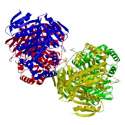 Image of CATH 3rv8