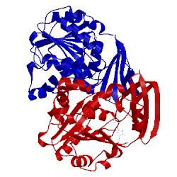Image of CATH 3rw9