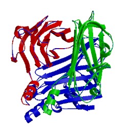 Image of CATH 3rwn