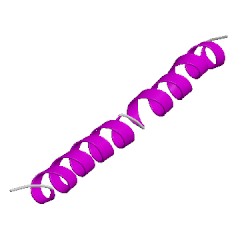 Image of CATH 3rwrV02