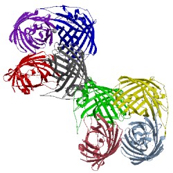 Image of CATH 3rwt