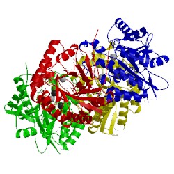 Image of CATH 3rxz