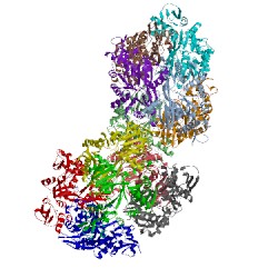 Image of CATH 3ryo