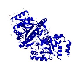 Image of CATH 3s1c