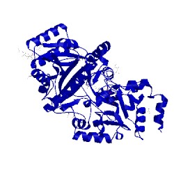 Image of CATH 3s1d
