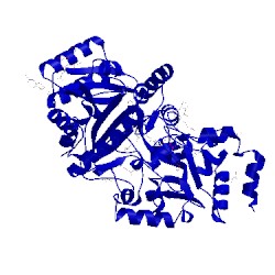 Image of CATH 3s1f
