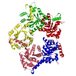 Image of CATH 3s1v