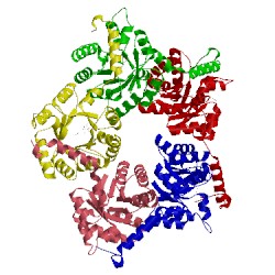Image of CATH 3s1w