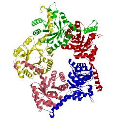 Image of CATH 3s1x