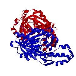 Image of CATH 3s1z