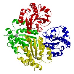 Image of CATH 3s2s