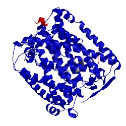Image of CATH 3s38