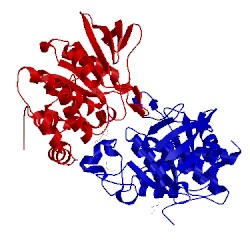 Image of CATH 3s3h
