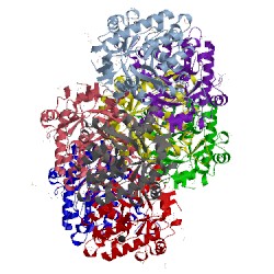 Image of CATH 3s4t