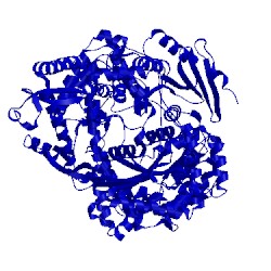 Image of CATH 3s5i