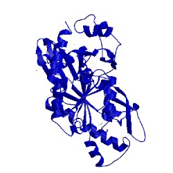 Image of CATH 3s6k