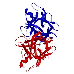 Image of CATH 3s8j