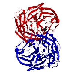 Image of CATH 3san