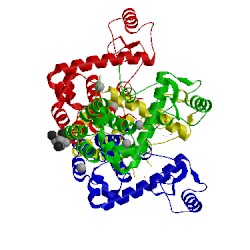 Image of CATH 3sb5