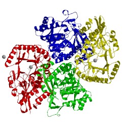 Image of CATH 3sbf