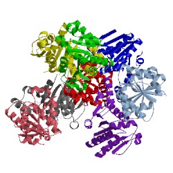 Image of CATH 3sbx